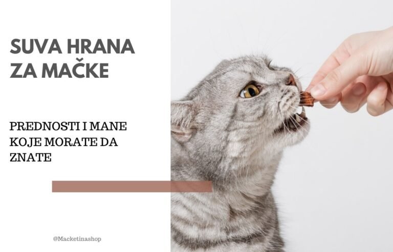 Suva hrana za mačke