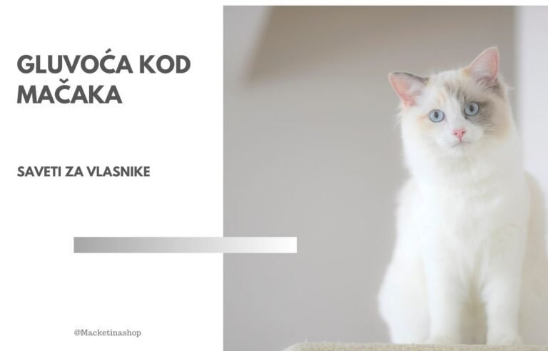 Gluvoća kod mačaka