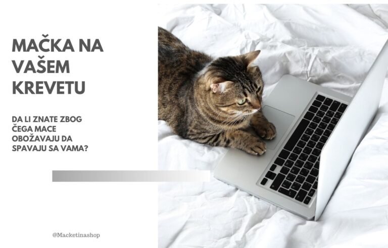 mačka spava na vašem krevetu,