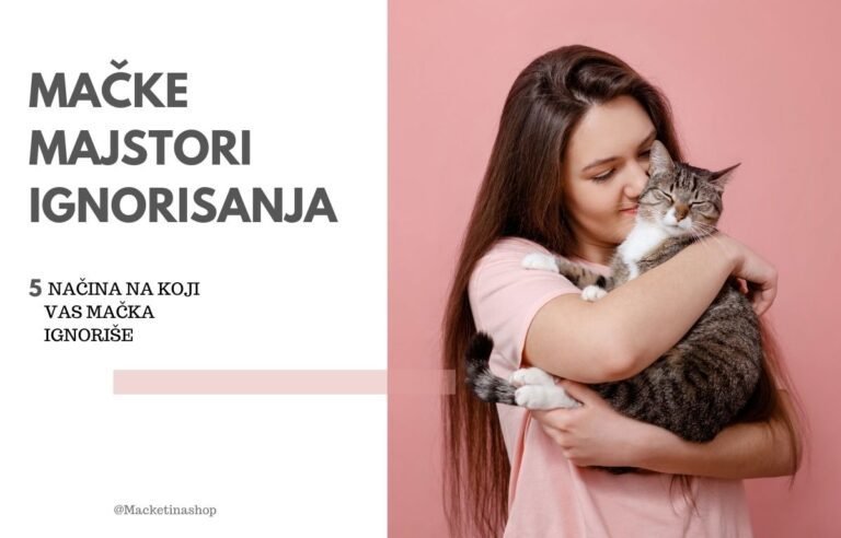 Mačke majstori ignorisanja