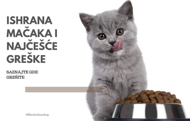 ishrana mačaka