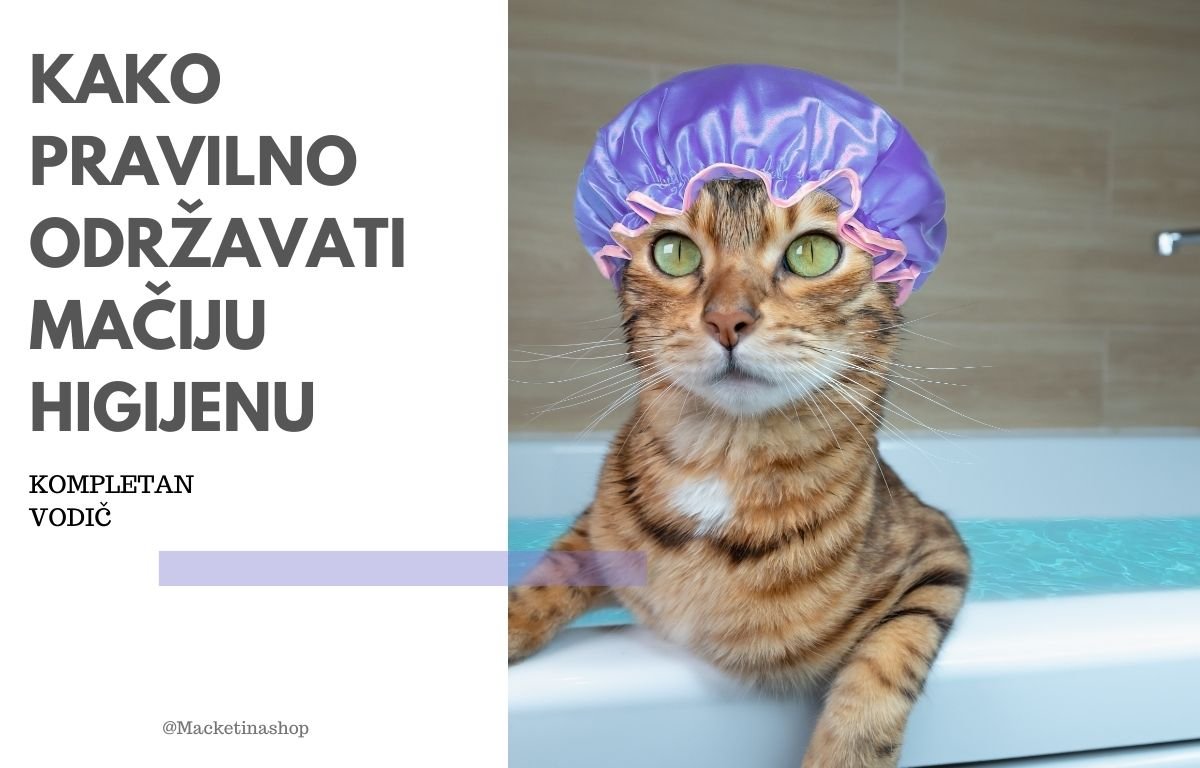 mačija higijena