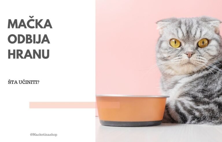Mačka odbija hranu