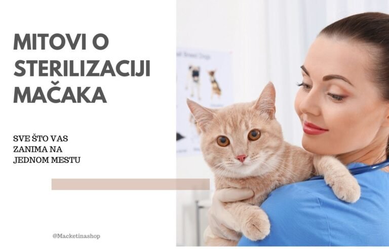 Mitovi o sterilizaciji mačaka