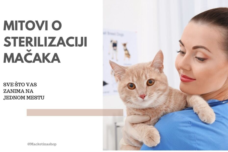 Mitovi o sterilizaciji mačaka