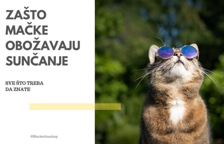Zašto mačke obožavaju sunčanje