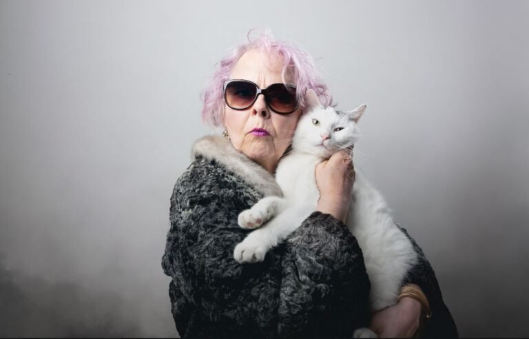 Najbolji pokloni za mačkoljupce