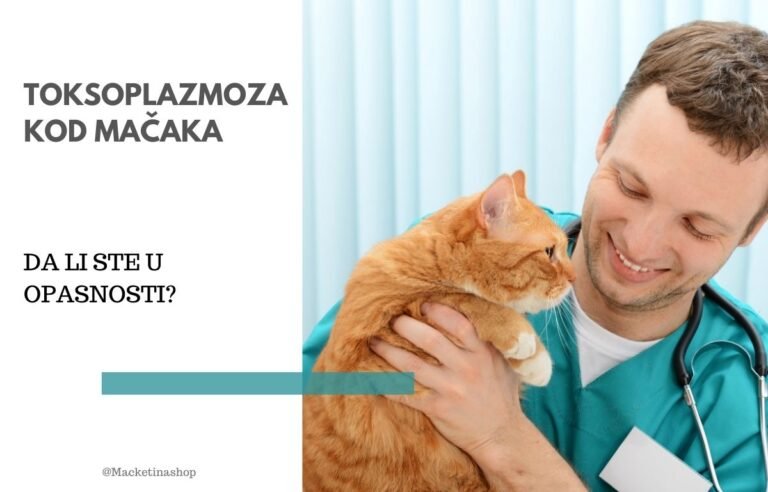 Toksoplazmoza
