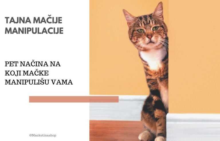 Tajne mačije manipulacije