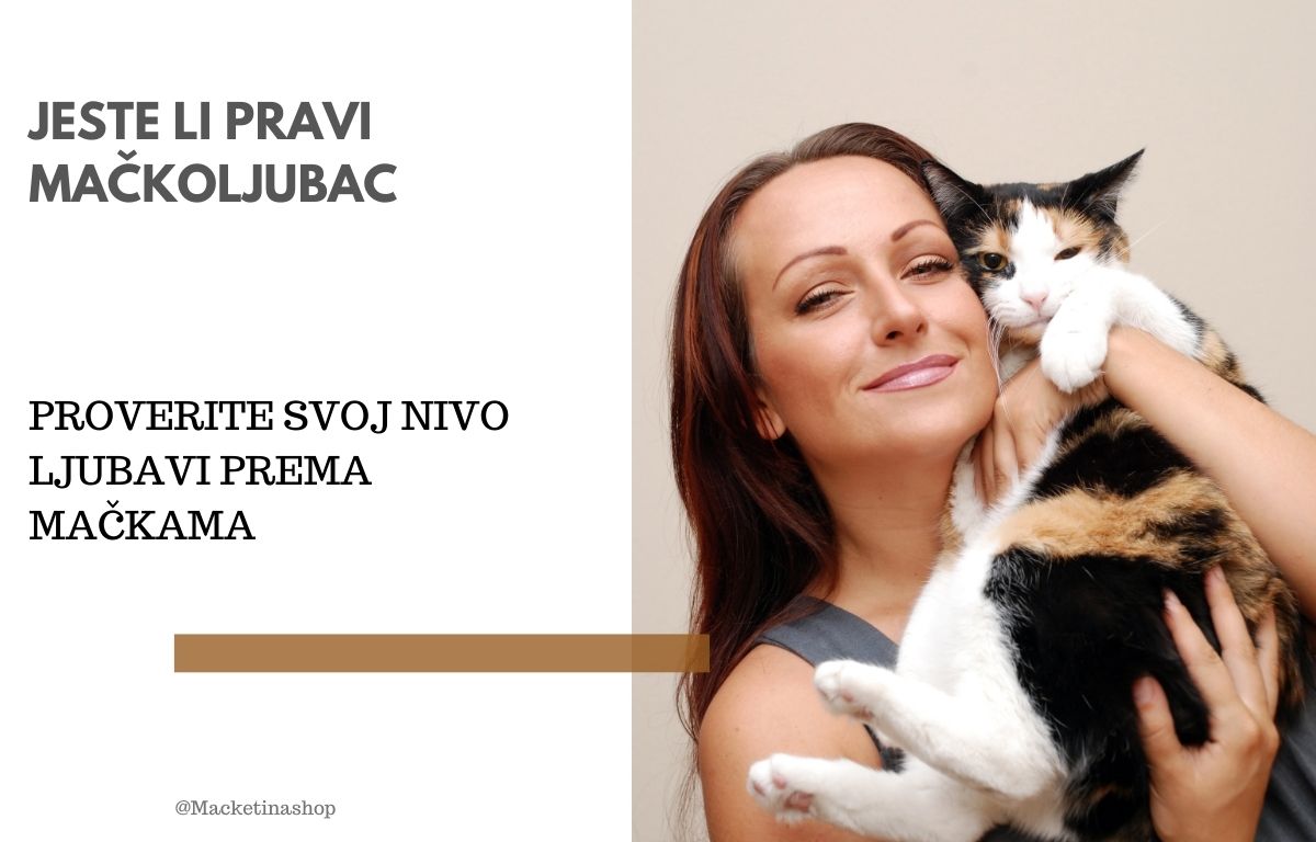 Jeste li pravi mačkoljubac – Proverite nivo ljubavi prema mačkama