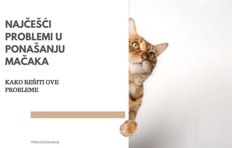 Najčešći problemi u ponašanju mačaka