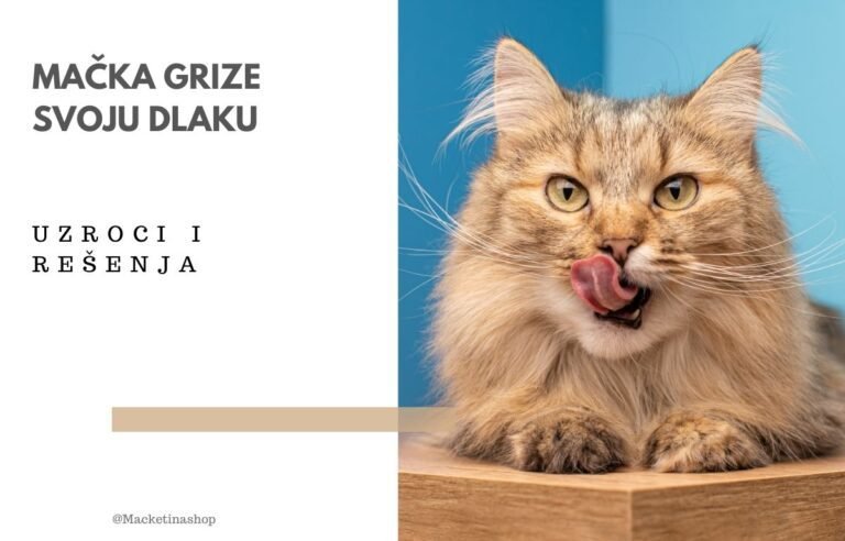 Mačka grize svoju dlaku