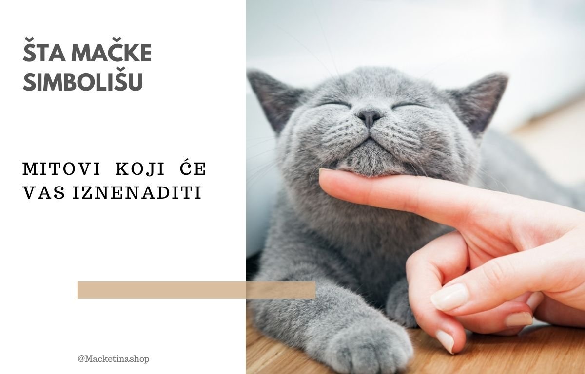 Šta mačke simbolišu
