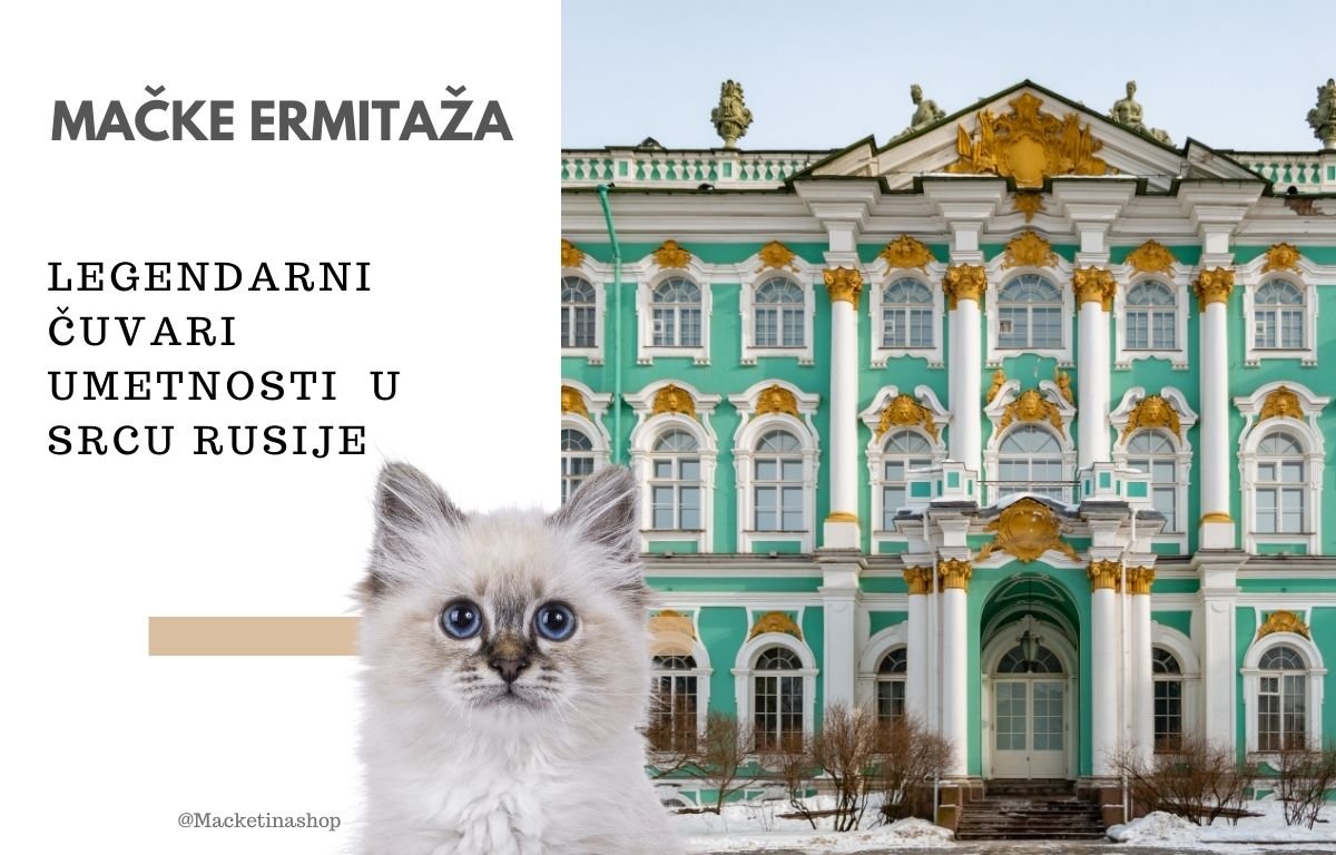 Mačke Ermitaža