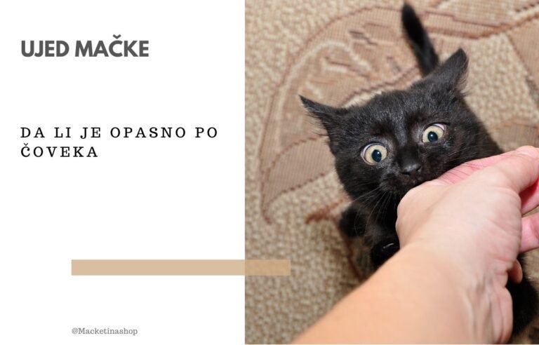 ujed mačke