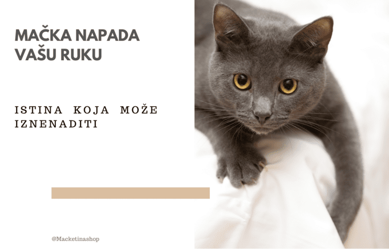 Mačka napada vašu ruku