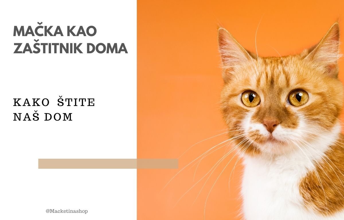 Mačka kao vaš zaštitnik