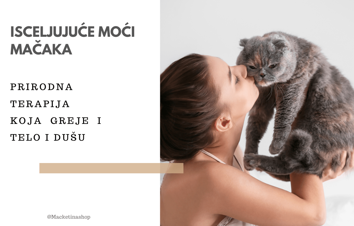 Isceljujuće moći mačaka