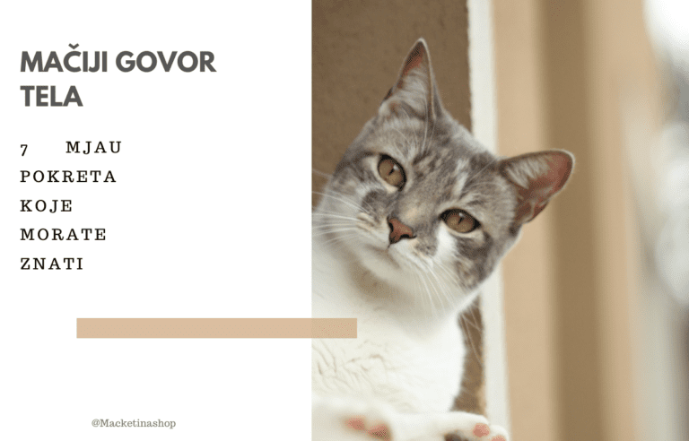 Mačiji Govor Tela