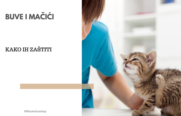 Buve i mačići