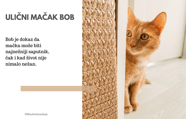 Ulični mačak Bob