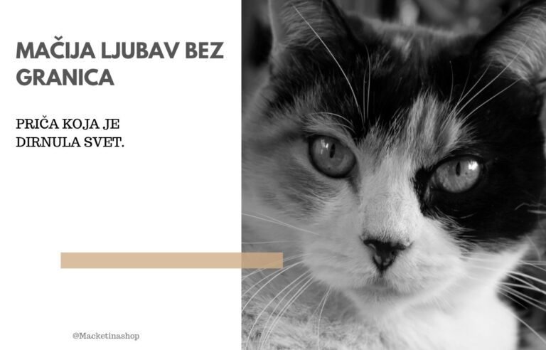 Mačija ljubav bez granica – Priča koja je dirnula svet