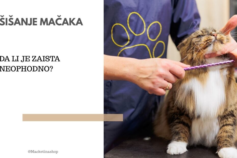 Šišanje mačaka