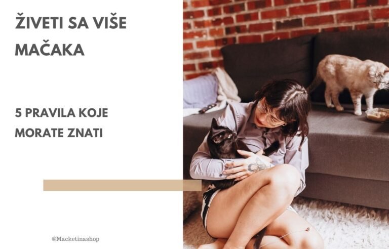 Živeti sa više mačaka