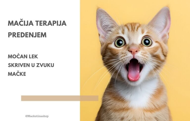 Mačija terapija predenjem - Macketinashop