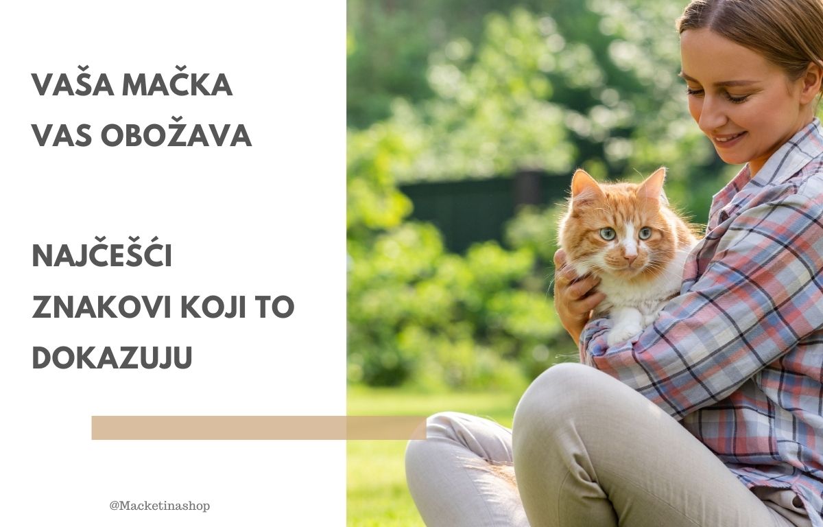 Vaša mačka vas obožava – Evo najčešćih znakova koji to dokazuju