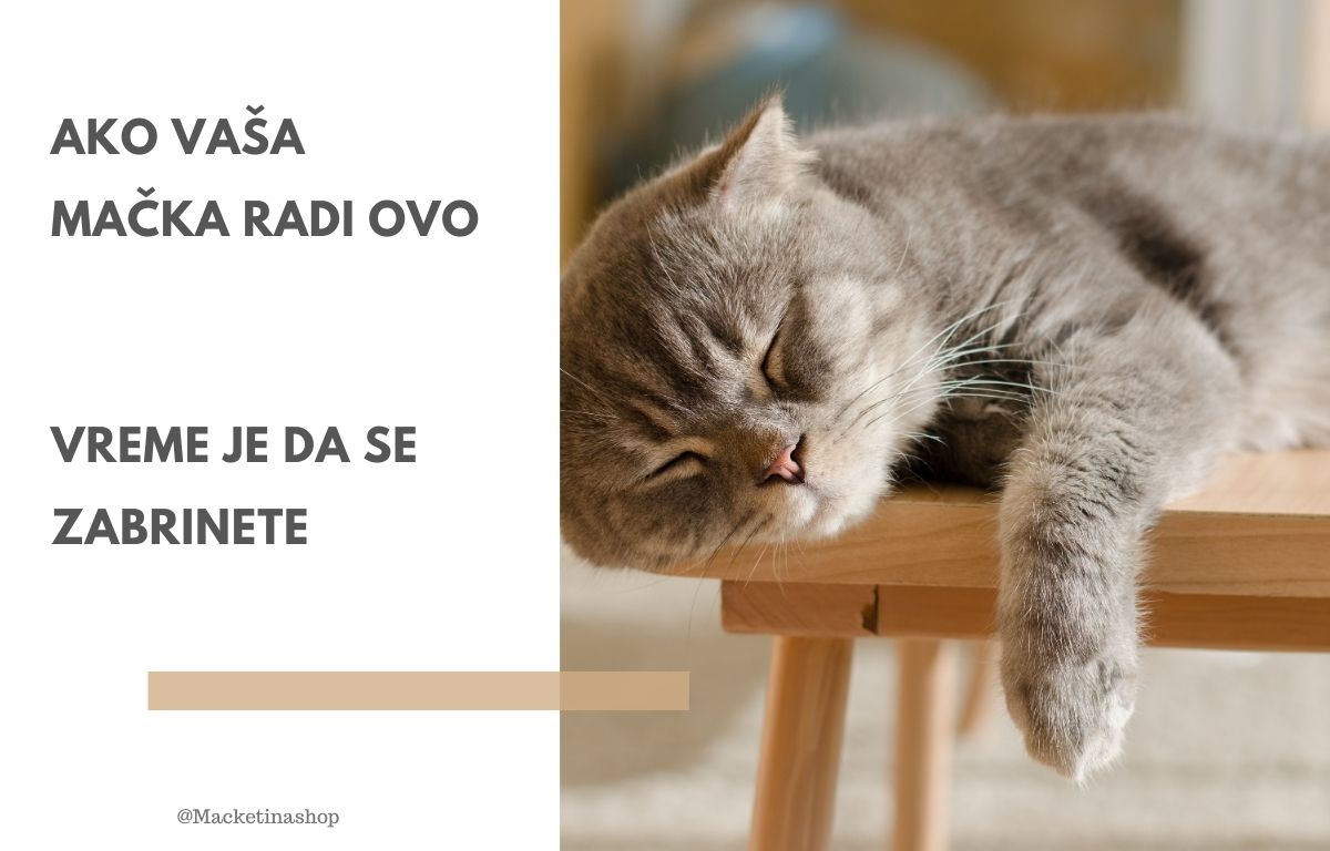 Ako vaša mačka radi OVO – vreme je da se zabrinete!