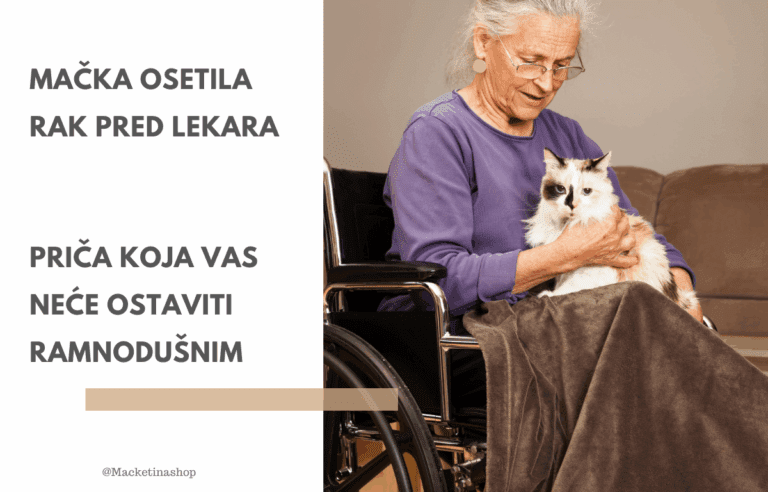 mačka osetila rak pre lekara