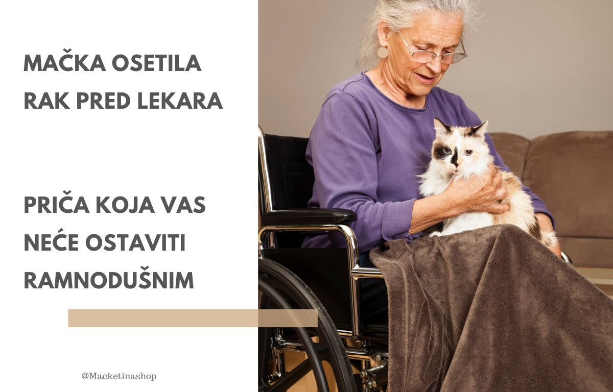 Mačka Osetila Rak Pre Lekara