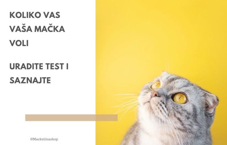 Koliko vas vaša mačka voli – uradite test i saznajte