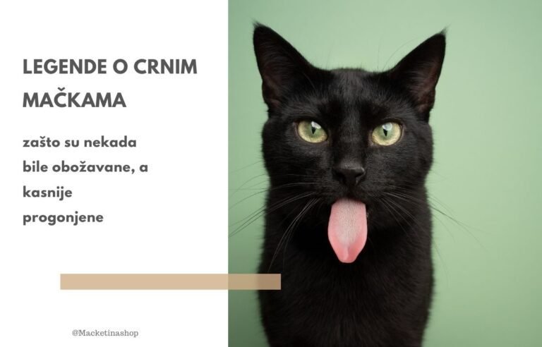 Legende o crnim mačkama