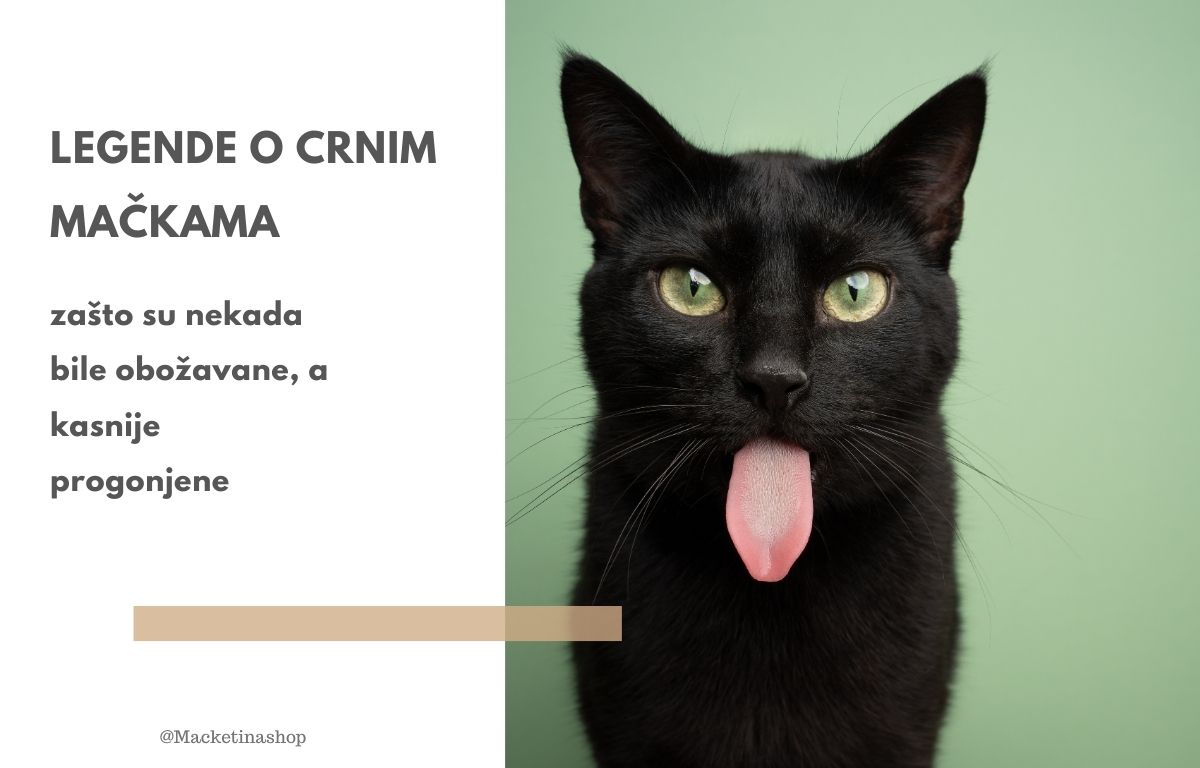 Legende o crnim mačkama