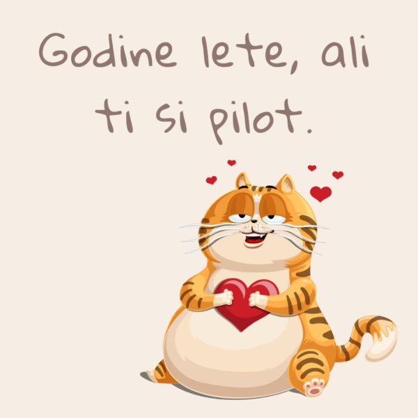 Magnet Godine lete ali ti si pilot