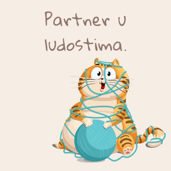 Magnet Partner u ludostima - Macketinashop