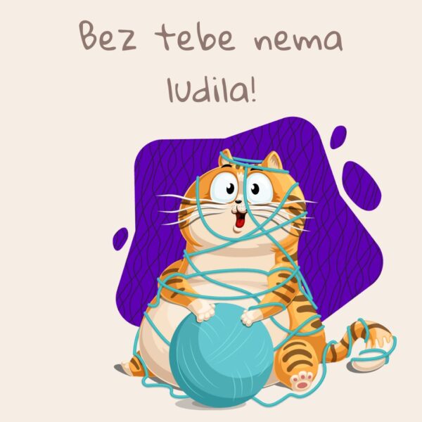 Magnet Bez tebe nema ludila - Macketinashop