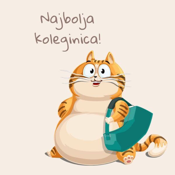 Magnet Najbolja koleginica - Macketinashop