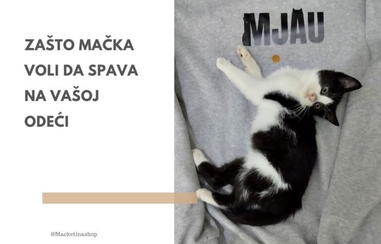 Zašto mačka voli da spava na vašoj odeći - macketinashop