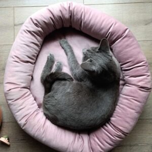 Premium krevet za mačke od pliša - Siva mačka uživa u roze premium krevetu za mačke od pliša, udobnom i toplom mestu za spavanje, Mačketina shop.