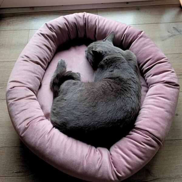 Premium krevet za mačke od pliša - Siva mačka uživa u roze premium krevetu za mačke od pliša, udobnom i toplom mestu za spavanje, Mačketina shop.