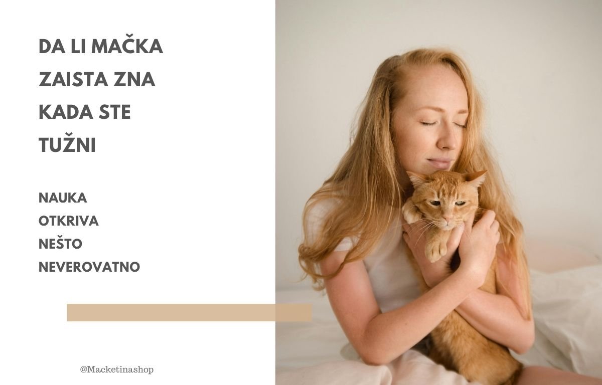 Da li mačka zaista zna kada ste tužni – Nauka otkriva neverovatno