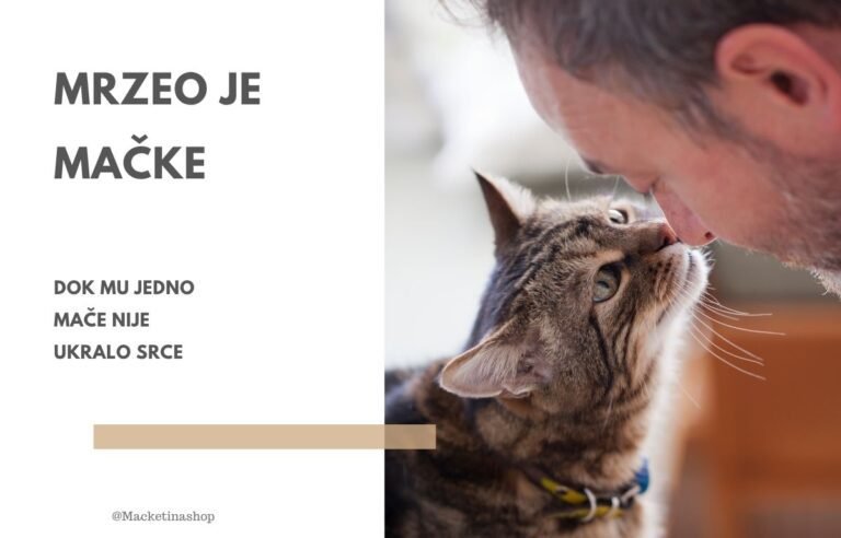 mrzeo je mačke sada ljubi svoju mačku po nosu – priča o ljubavi koja je sve promenila. Macketinashop