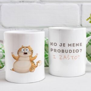 Šolja Ko je mene probudio