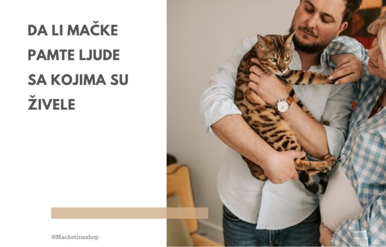 Da li mačke pamte ljude sa kojima su živele – par drži bengalsku mačku u naručju u porodičnom domu.