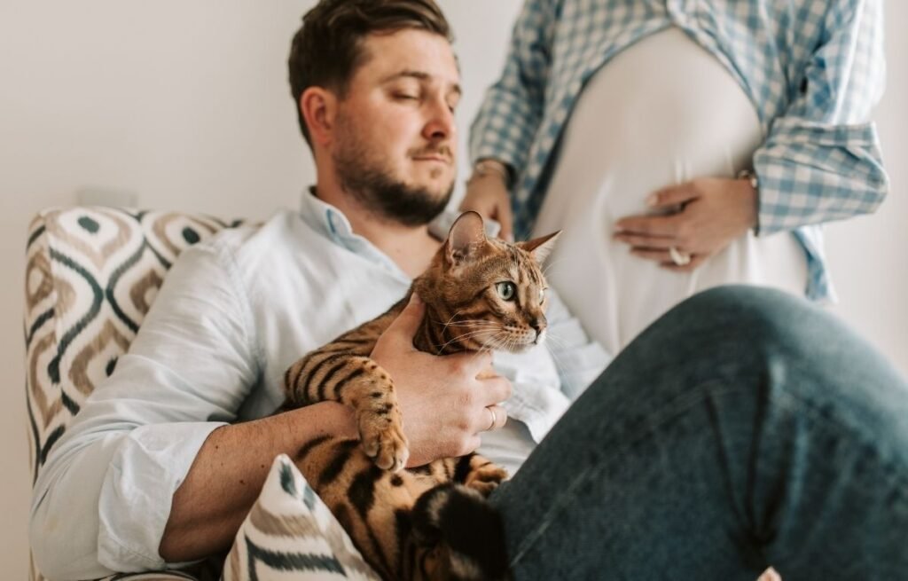 Da li mačke pamte ljude sa kojima su živele – bengalska mačka sedi u krilu vlasnika dok trudnica stoji pored njih u domu.