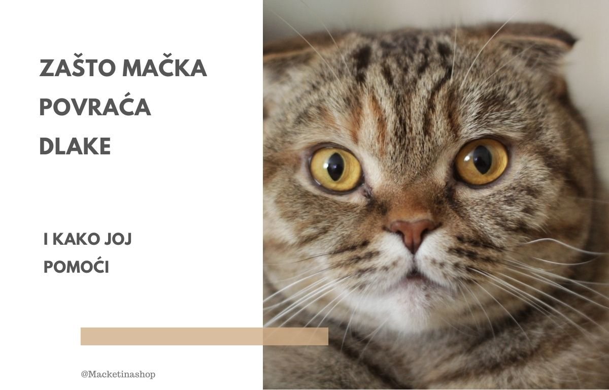 Zašto mačka povraća dlake i kako joj pomoći