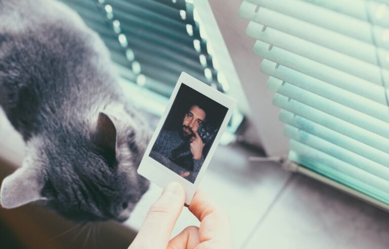 Osoba drži polaroid fotografiju sa mačkom dok siva mačka prolazi pored prozora – Kako Sačuvati Uspomenu na Ljubimca – Najlepši Načini da Zauvek Ostane Uz Vas